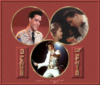 Photo souvenir d'Elvis